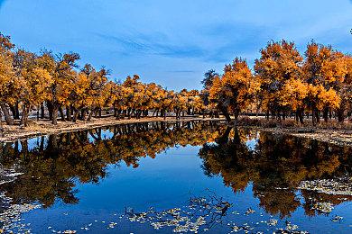 NEXON，射击游戏《VEILED EXPERTS 幕后高手》5月19日抢先体验版上线Steam!